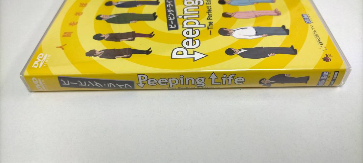 【中古】 DVD ピーピング・ライフ ザ・パーフェクト・エディション Peeping Life -The Perfect Edition- 