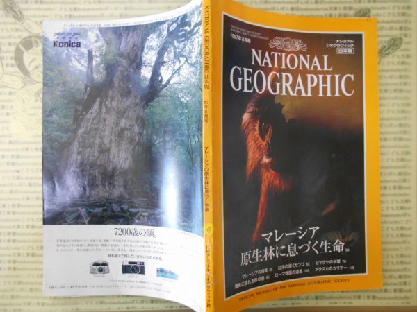 古本 雑誌　ナショナルジオグラフィックNO.7　マレーシア原生林に息づく生命　日本語版　1997年8月_画像1
