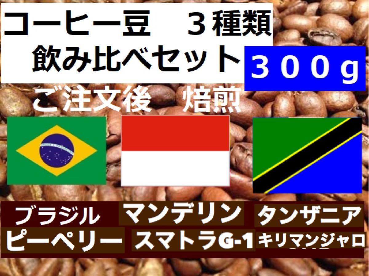 全ての 《注文後焙煎》コーヒー豆3種 飲み比べAセット300g 3×100g ※即