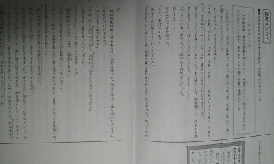 サピックス ＳＡＰＩＸ＊デイリー サピックス＊６年 小６＊国語 Ａ＊基礎と実戦／全３８回 完全版＊２０１８年_画像4