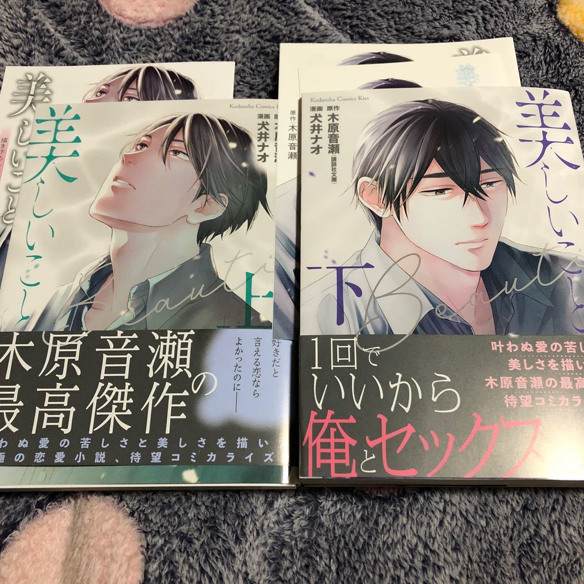 Paypayフリマ 美しいこと 上下 犬井ナオ 木原音瀬 Paypayフリマ 美しいこと 上下 犬井ナオ 木原音瀬