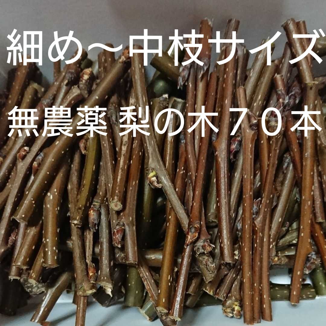 Paypayフリマ うさぎ 小動物用 無農薬 梨の木 70本 Paypayフリマ うさぎ 小動物用 無農薬 梨の木 70本