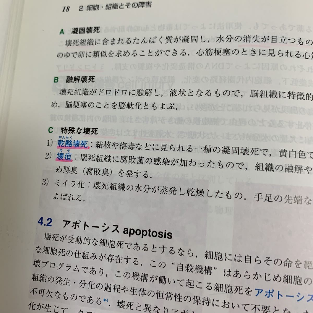 カラ-で学べる病理学   第３版/ヌ-ヴェルヒロカワ/渡辺照男 (単行本) 中古