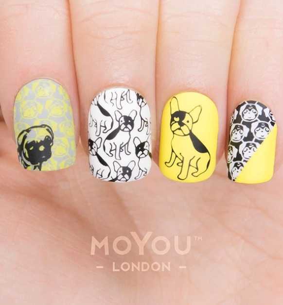 Moyou London nails stamp plate ANIMAL 06