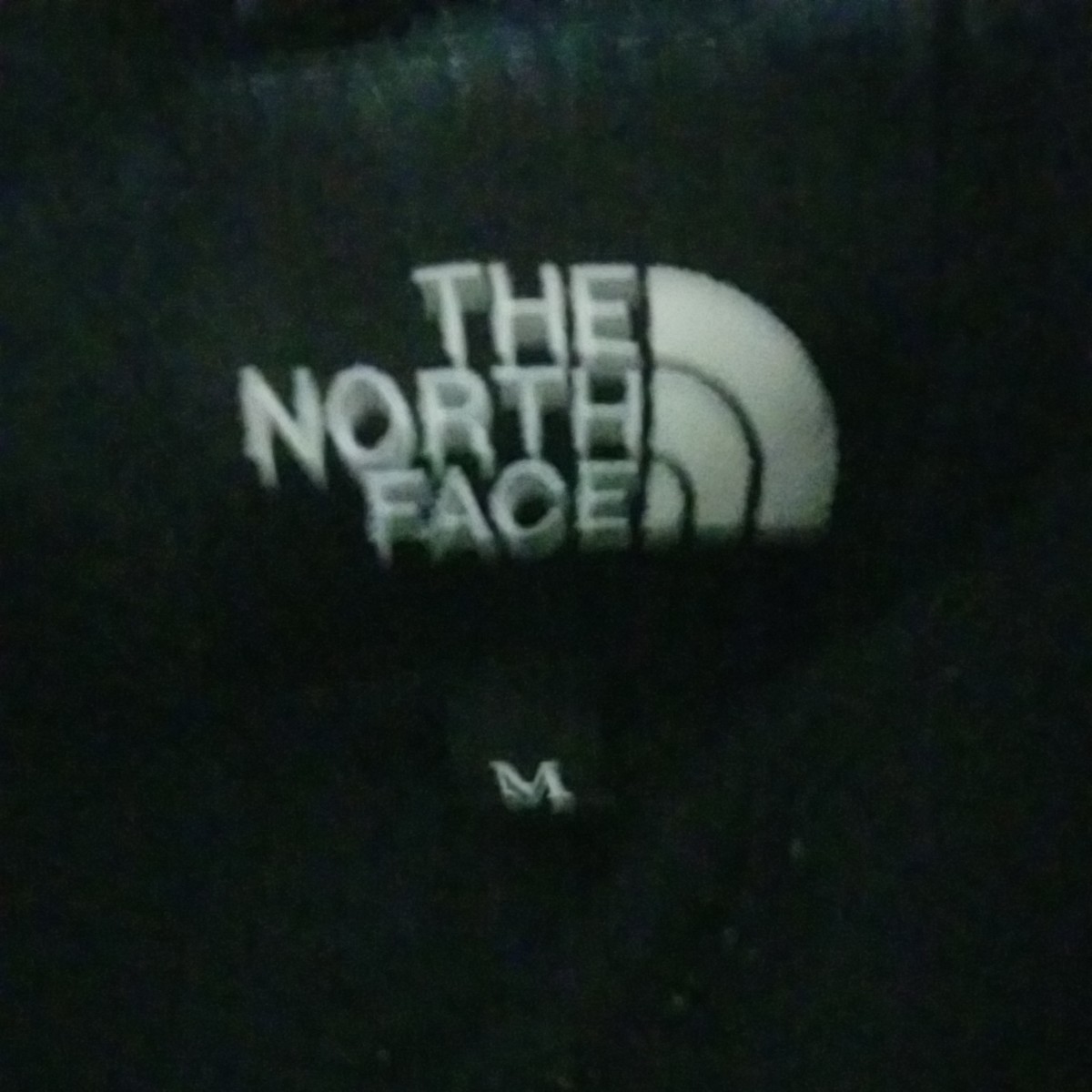 THE NORTH FACE ノースフェイスパーカー 裏起毛 スウェット上下セット　メンズM