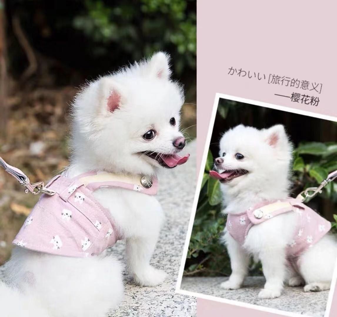 メッシュ ベストハーネス リードセット超小型犬 子犬 散歩用 通用型 犬 ハーネス 小中型犬服おしゃれ かわいい ペット 猫用胴輪