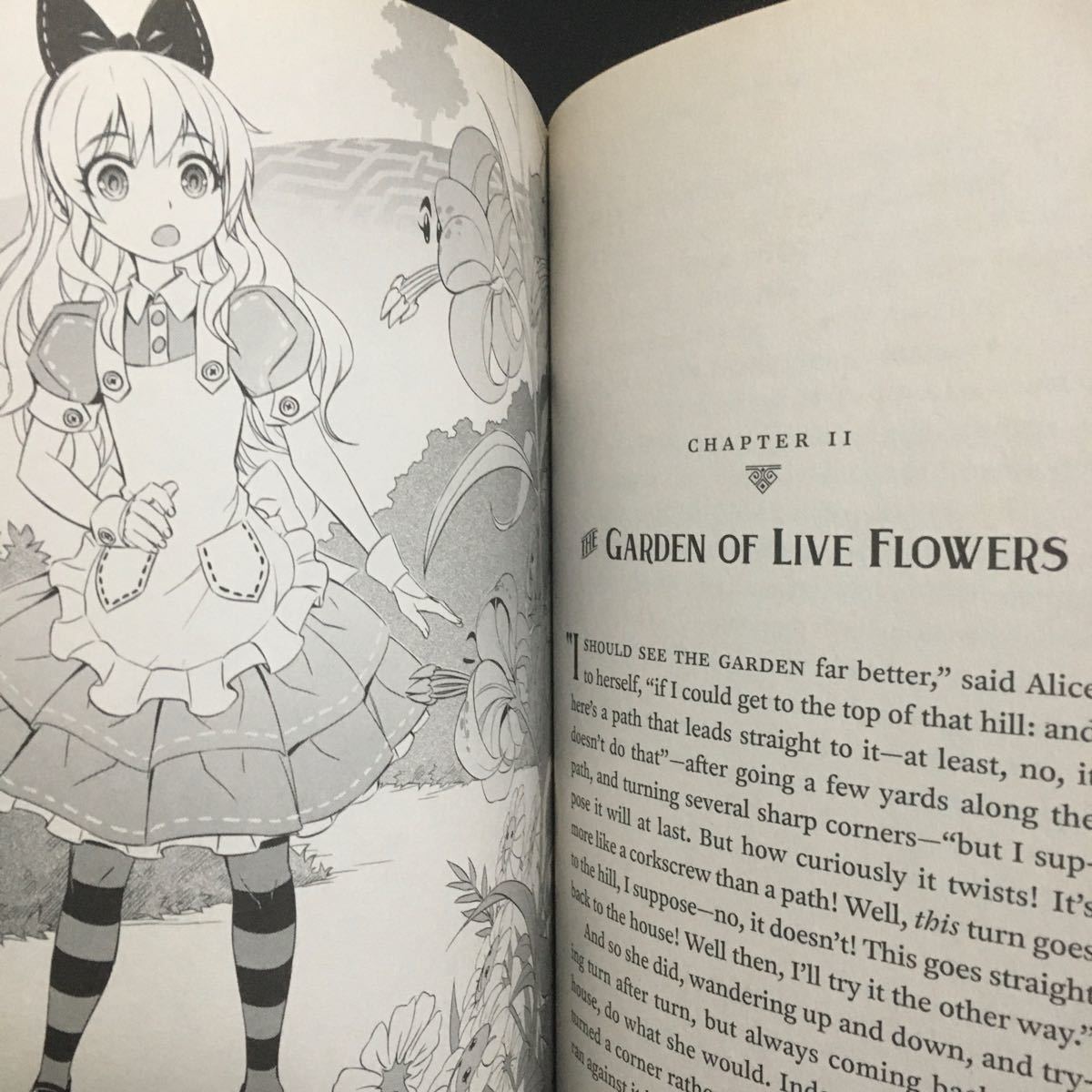 ねね様専用】不思議の国のアリス 日本語版 英語版 2冊セット|PayPayフリマ