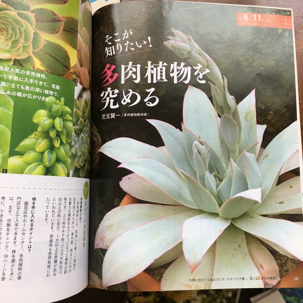 Paypayフリマ 趣味の園芸2冊セット 夏 Paypayフリマ 趣味の園芸2冊セット 夏