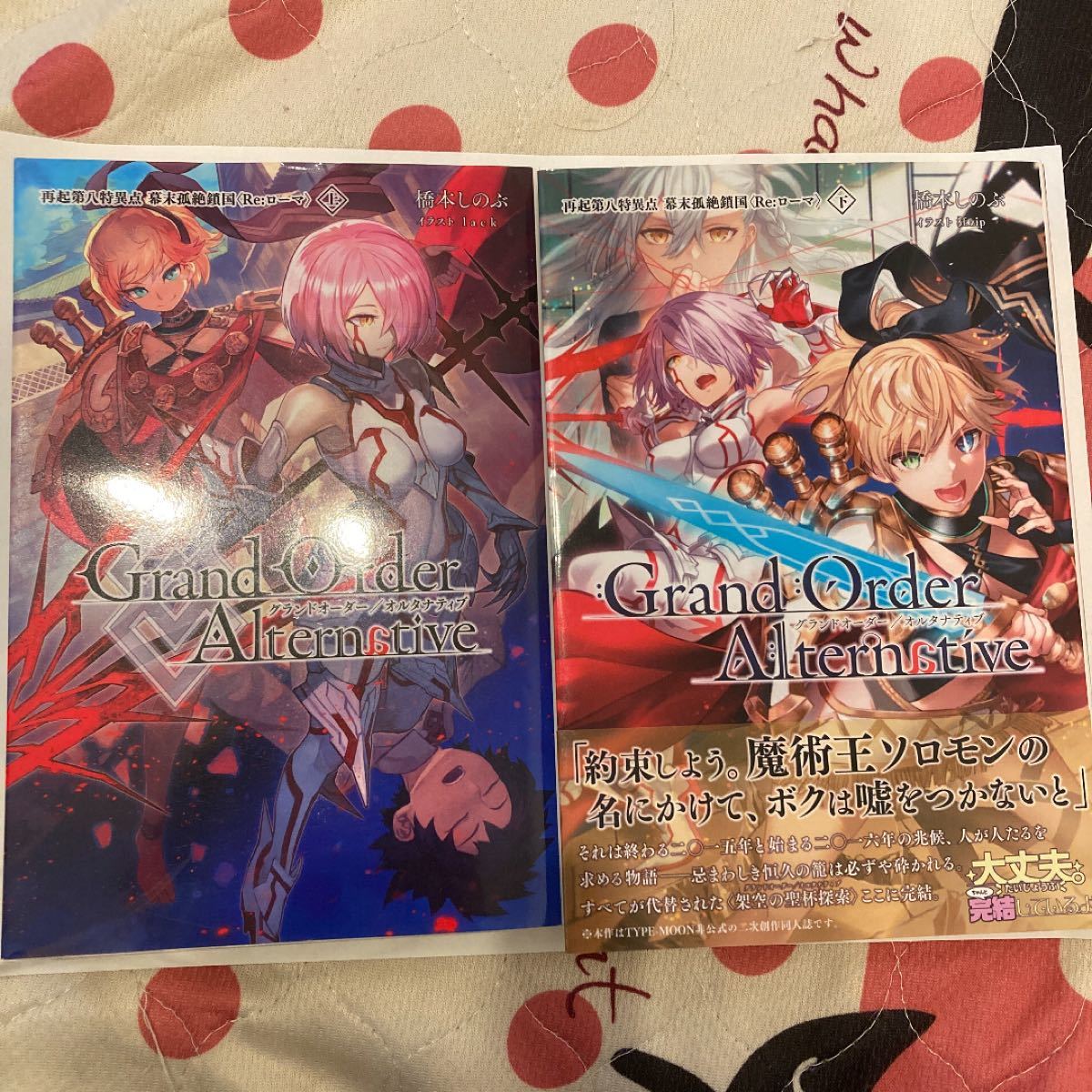 Paypayフリマ Fgo 同人小説 2巻セット