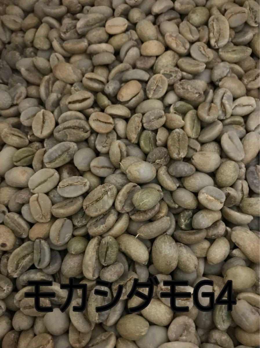 コーヒー生豆　自家焙煎用　モカ　モカシダモ　エチオピア　800g