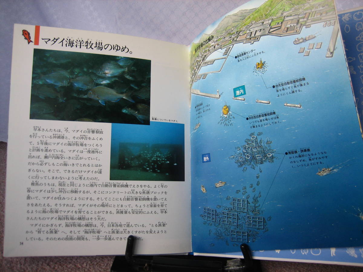 【送料込み】『海の幸を育てる～農林水産業はすてきな仕事8』山口哲夫/文研出版