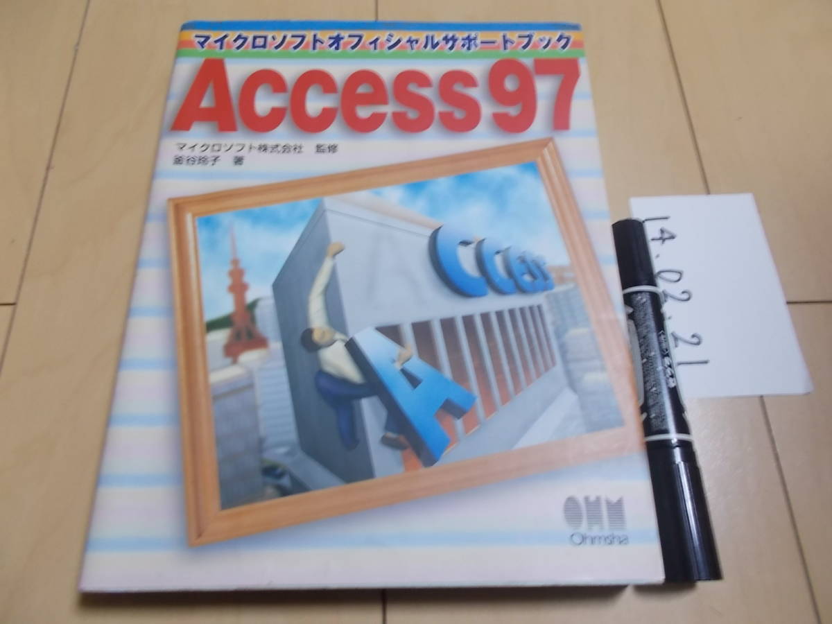 Access97 Microsoft official support book 