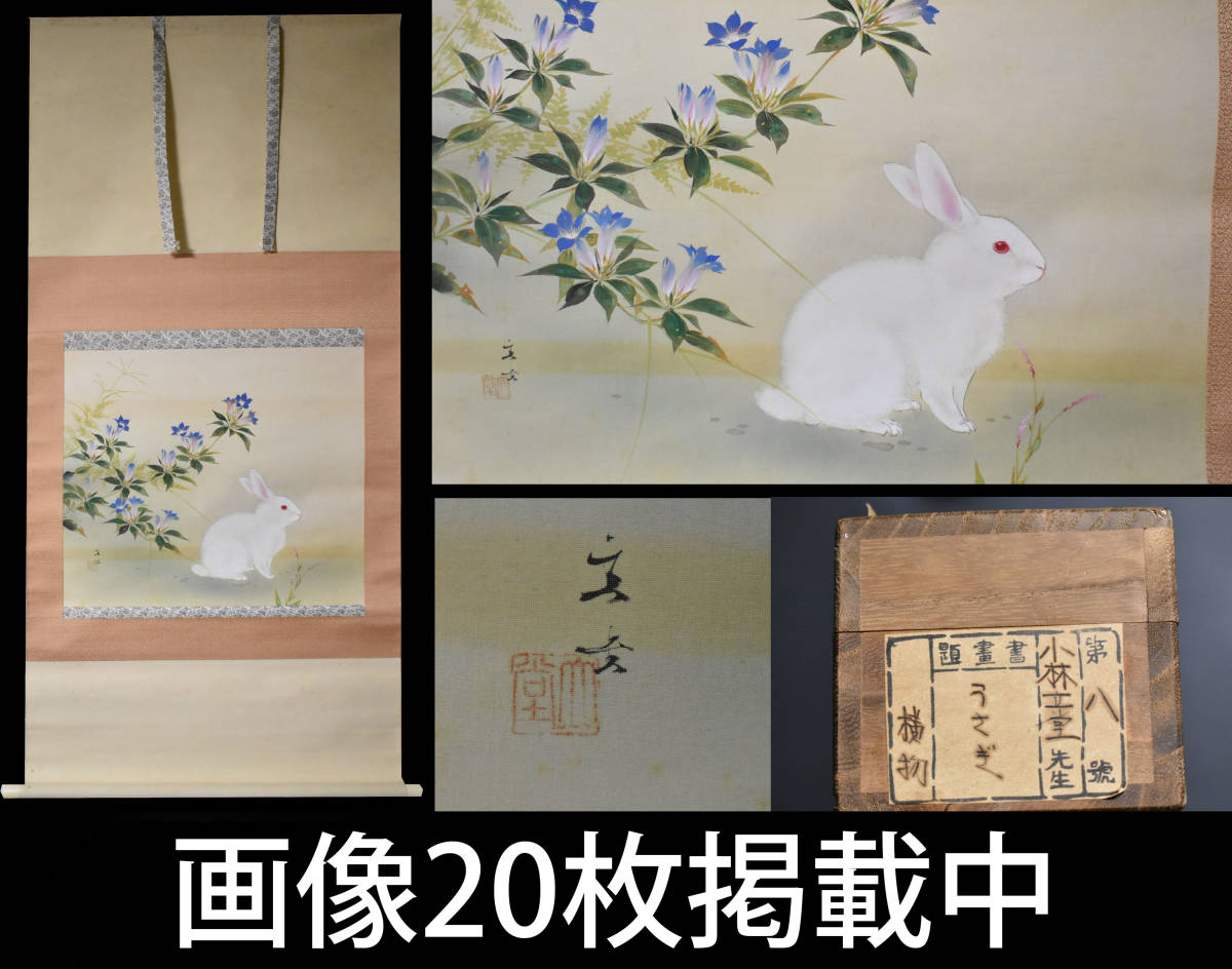 真作 小林立堂 掛軸 『うさぎ』肉筆 絹本 共箱 日本画 画像20枚掲載中