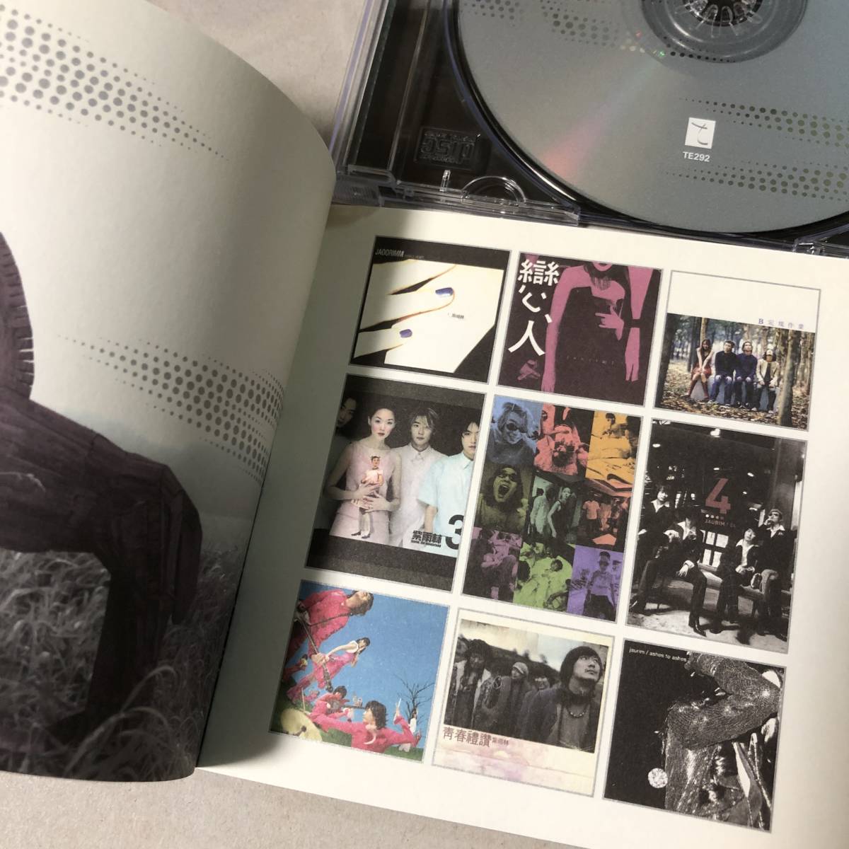 Jaurim 紫雨林 1997-2006 Best 2集 SS Collection CD＋DVD ジャウリム チャウリム キム・ユナ 韓国 ロック ポップス K-POP jum725_画像7