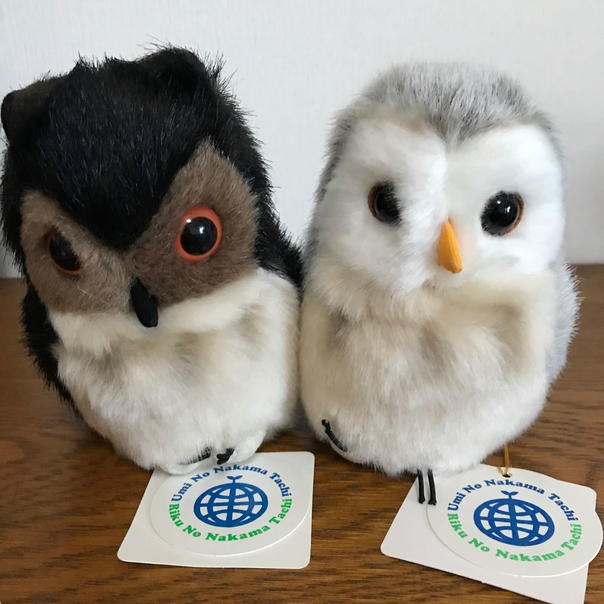 Paypayフリマ 最終値下げ フクロウ 梟 ぬいぐるみ2羽セット 新品タグ付き 可愛いいふくろう Paypayフリマ 最終値下げ フクロウ 梟 ぬいぐるみ2羽セット 新品タグ付き 可愛いいふくろう