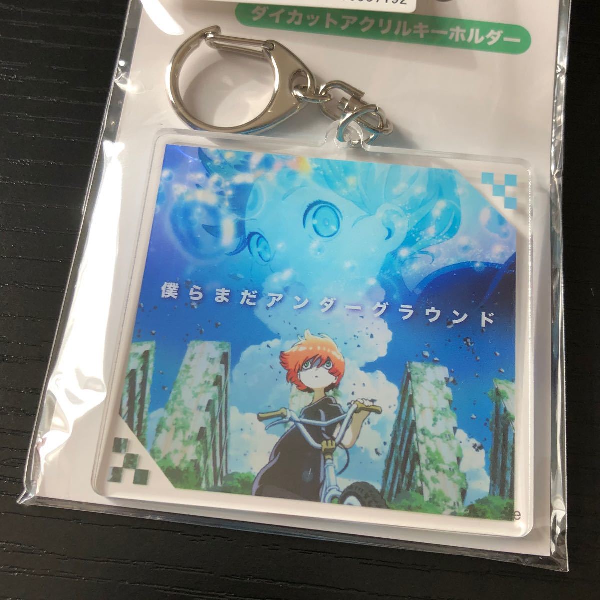 Paypayフリマ 新品 Eve いぶ ダイカット アクキー アクリルキーホルダー Paypayフリマ 新品 Eve いぶ ダイカット アクキー アクリルキーホルダー