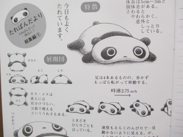 Tanakasan Shop 当時物 新品 極美品 サンエックス1999年製 たれぱんだ 可愛いノート Tanakasan Shop 当時物 新品 極美品 サンエックス1999年製 たれぱんだ 可愛いノート