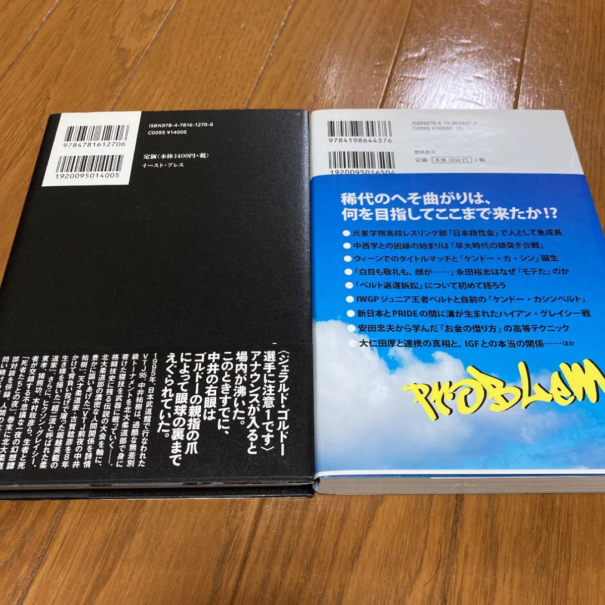 ケンドーカシン本 VTJ前夜の中井祐樹 プロレス 格闘技 2冊セット フツーのプロレスラーだった僕がKOで大学非常勤講師になるまで