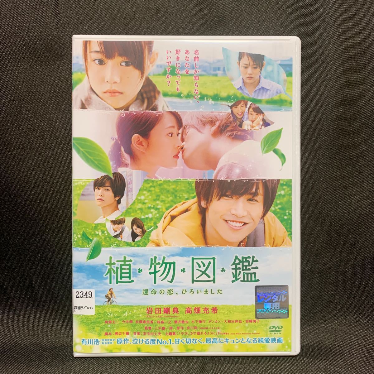 Paypayフリマ 植物図鑑 運命の恋 ひろいました 16映画 岩田剛典 高畑充希 レンタル落ちdvd Paypayフリマ 植物図鑑 運命の恋 ひろいました 16映画 岩田剛典 高畑充希 レンタル落ちdvd