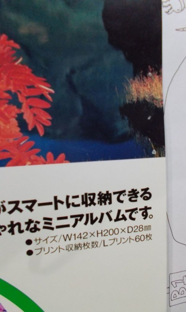 Yahoo!オークション - 非売品 観月ありさ フジフィルム L Yahoo!オークション - 非売品 観月ありさ フジフィルム L