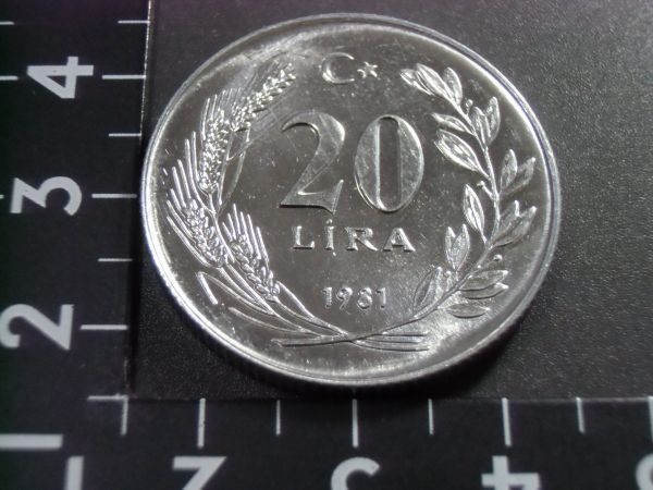トルコ　１９６１年　ＦＡＯ記念　２０リラ硬貨　未使用　_画像1