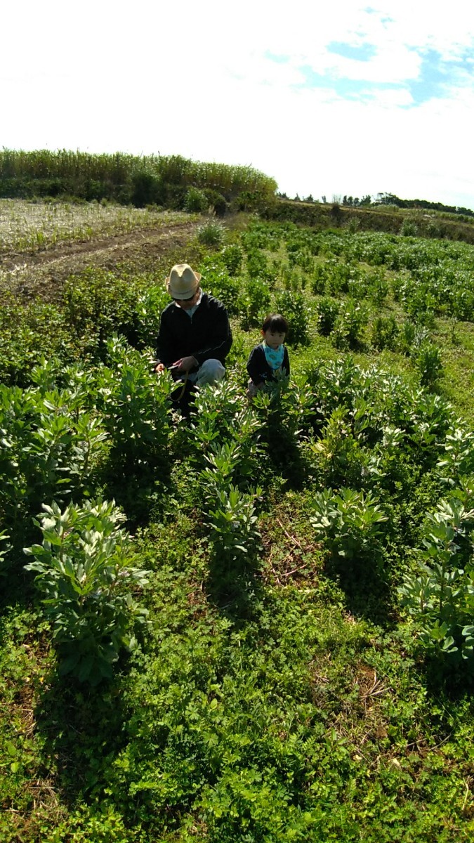 《高い波動を取り入れて高次元を目指しませんか?》喜界島　空豆コーヒー