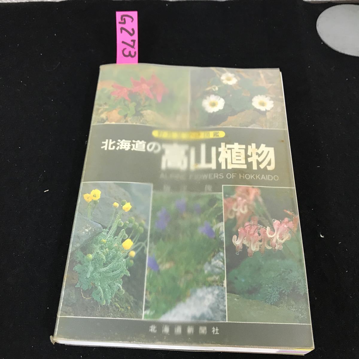 ヤフオク G 273 野外見分け図鑑 北海道の高山植物 梅澤 俊