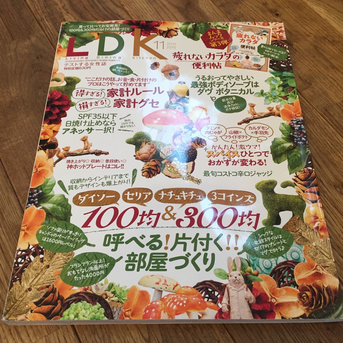 ＬＤＫ (１１月号 ２０１８) 月刊誌／晋遊舎