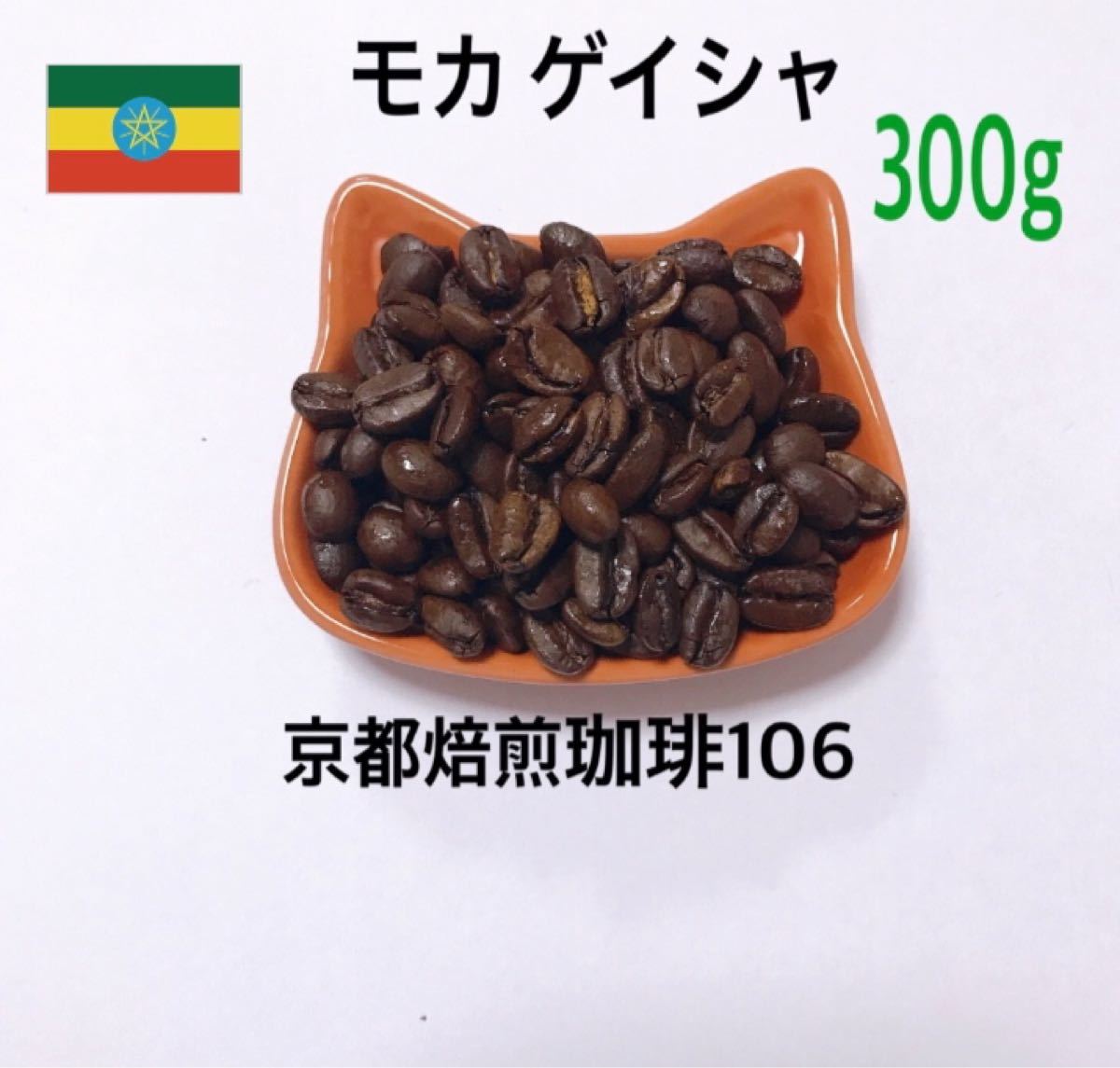 自家焙煎 珈琲豆  (100g×3)