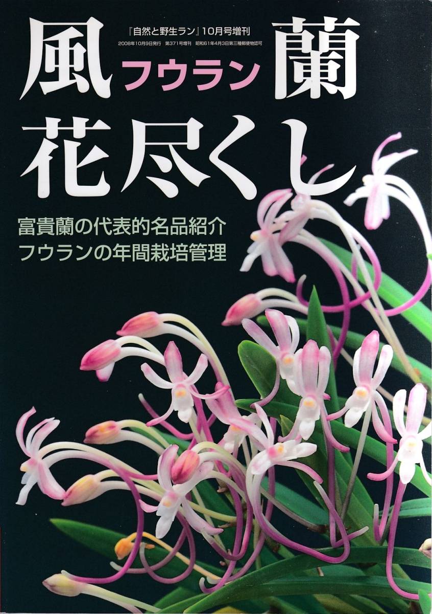 Yahoo!オークション - 「風蘭 花尽くし」セッコク・山野草・富貴 Yahoo!オークション - 「風蘭 花尽くし」セッコク・山野草・富貴