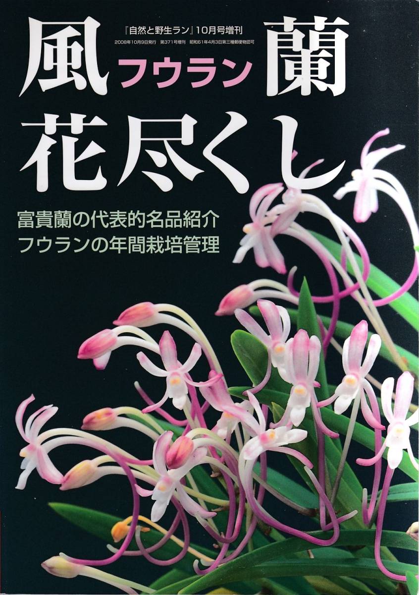 「風蘭 花尽くし」セッコク・山野草・富貴蘭・フウラン・中古本・希少『自然と野生ラン』増刊_画像1