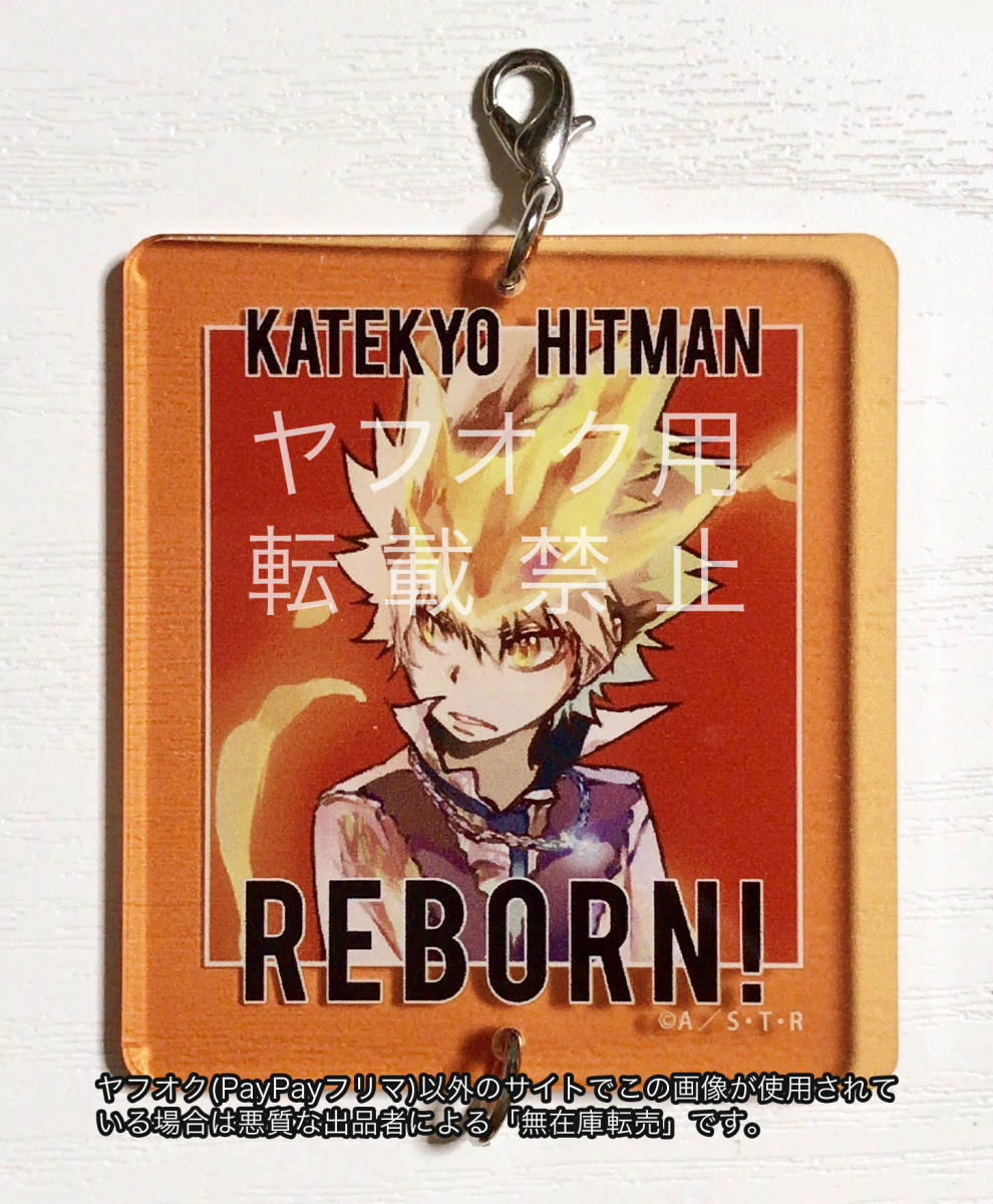 沢田綱吉ツナ 家庭教師ヒットマンREBORN リボーン THEキャラ 沢田綱吉ツナ 家庭教師ヒットマンREBORN リボーン THEキャラ