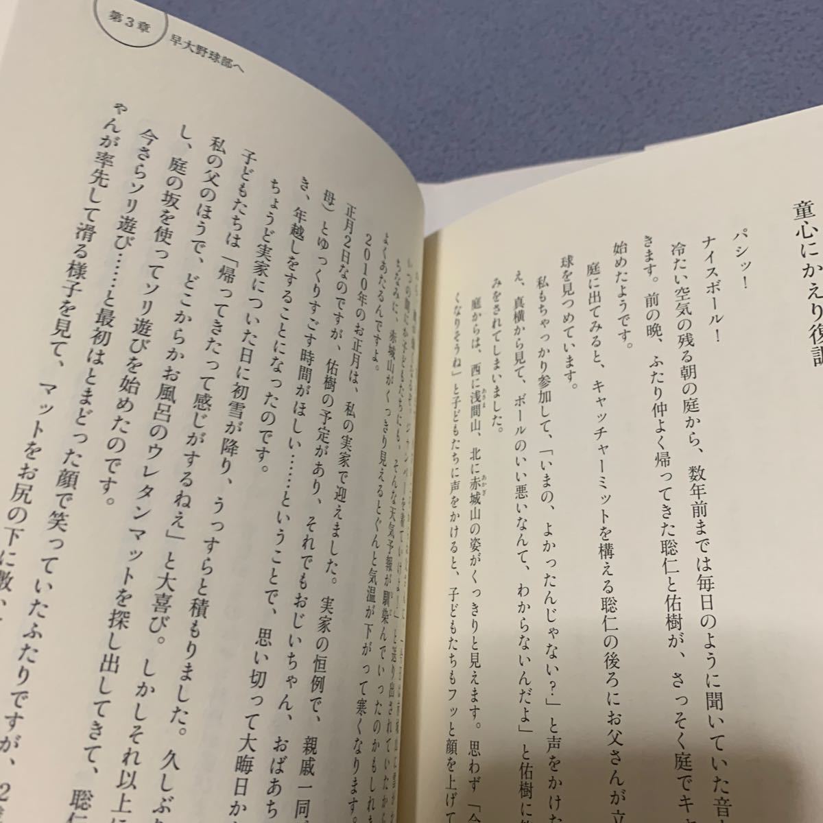 はばたけ、佑樹 神宮からプロ野球へ巣立ちゆく息子に贈る母の言葉/斎藤しづ子