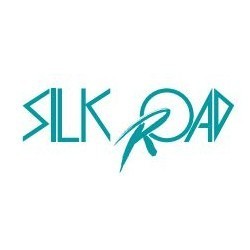 【SilkRoad/シルクロード】 リア全長調整式ショックアブソーバー 補修パーツ ステムセンタースリーブカラー 1ヶ [PC-B340]_画像1