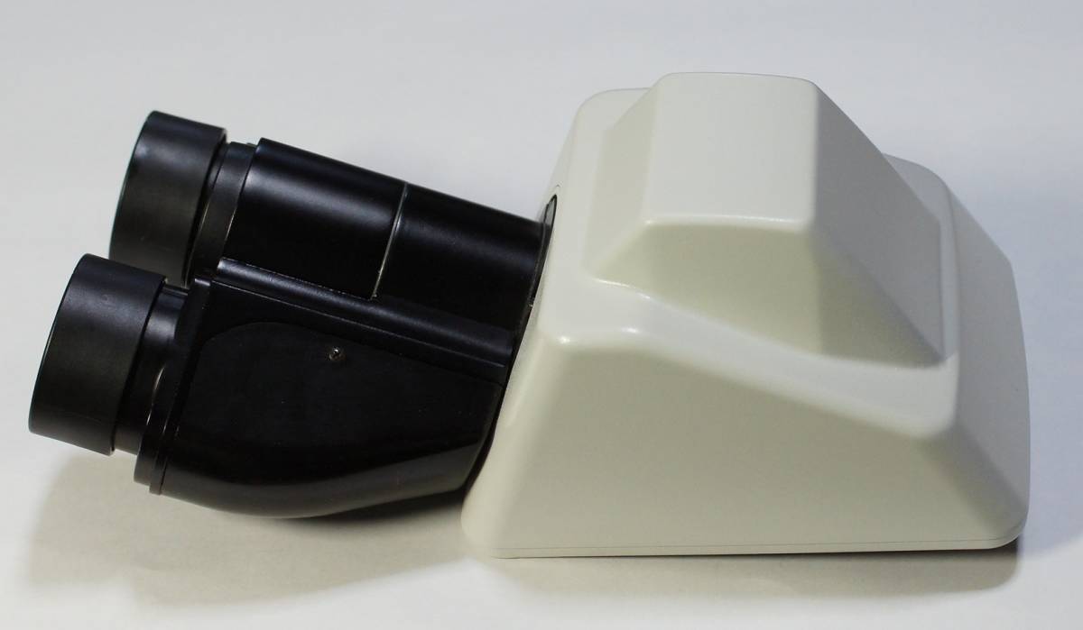 Microscope Japan　品質保証 返品可　Nikon ニコン　双眼鏡筒　Eclipseシリーズ用　中古