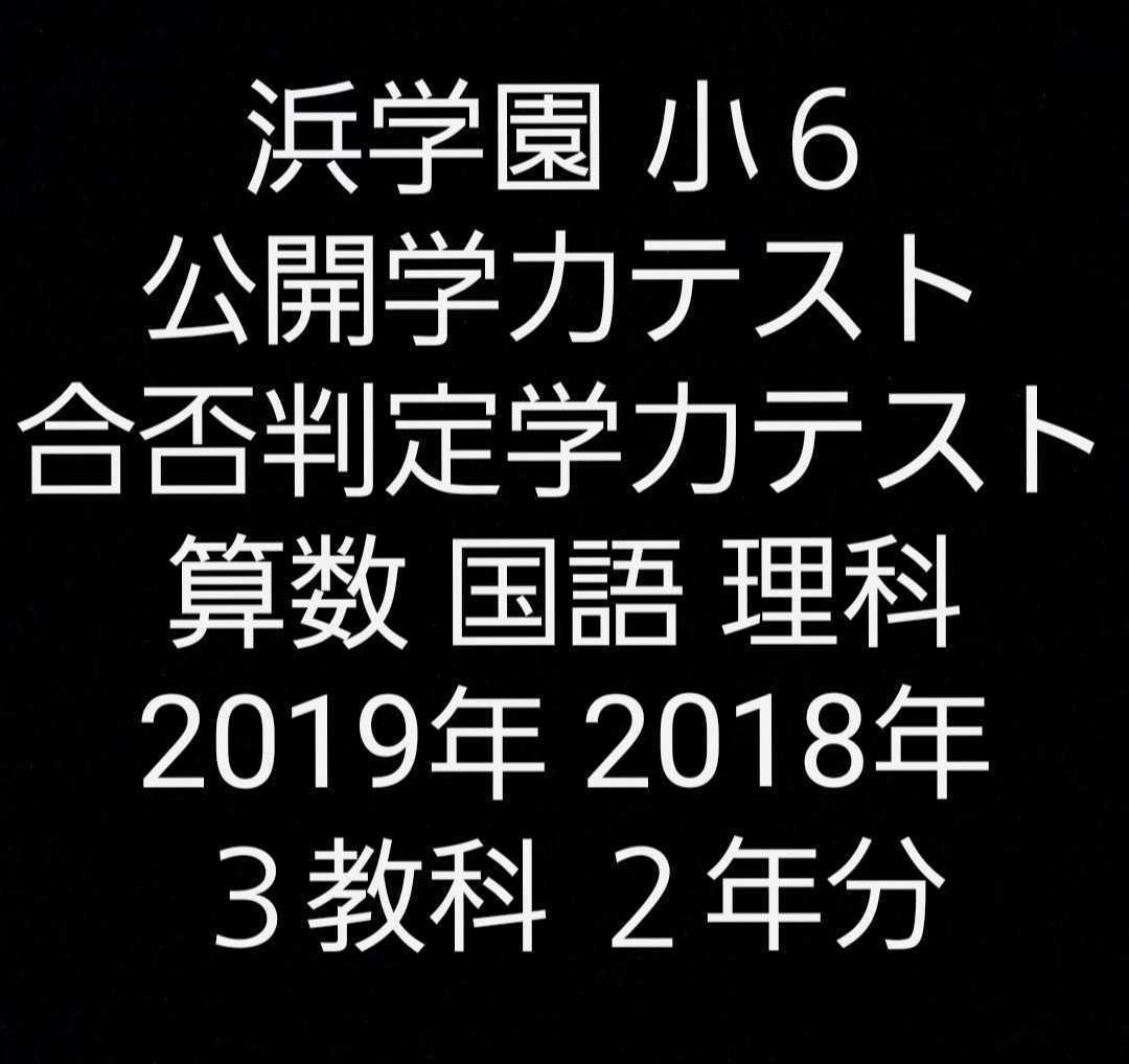 浜学園 小６ 公開学力テスト 合否判定学力 算数 国語 理科 ３教科 ２年