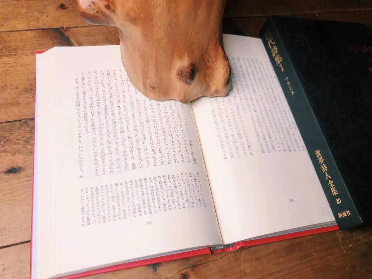 名訳多数!絶版 世界詩人全集 全22巻 新潮社 井上正蔵/阿部知二/堀口大学/福永武彦/ゲーテ/ボードレール/ランボー/マラルメ 4
