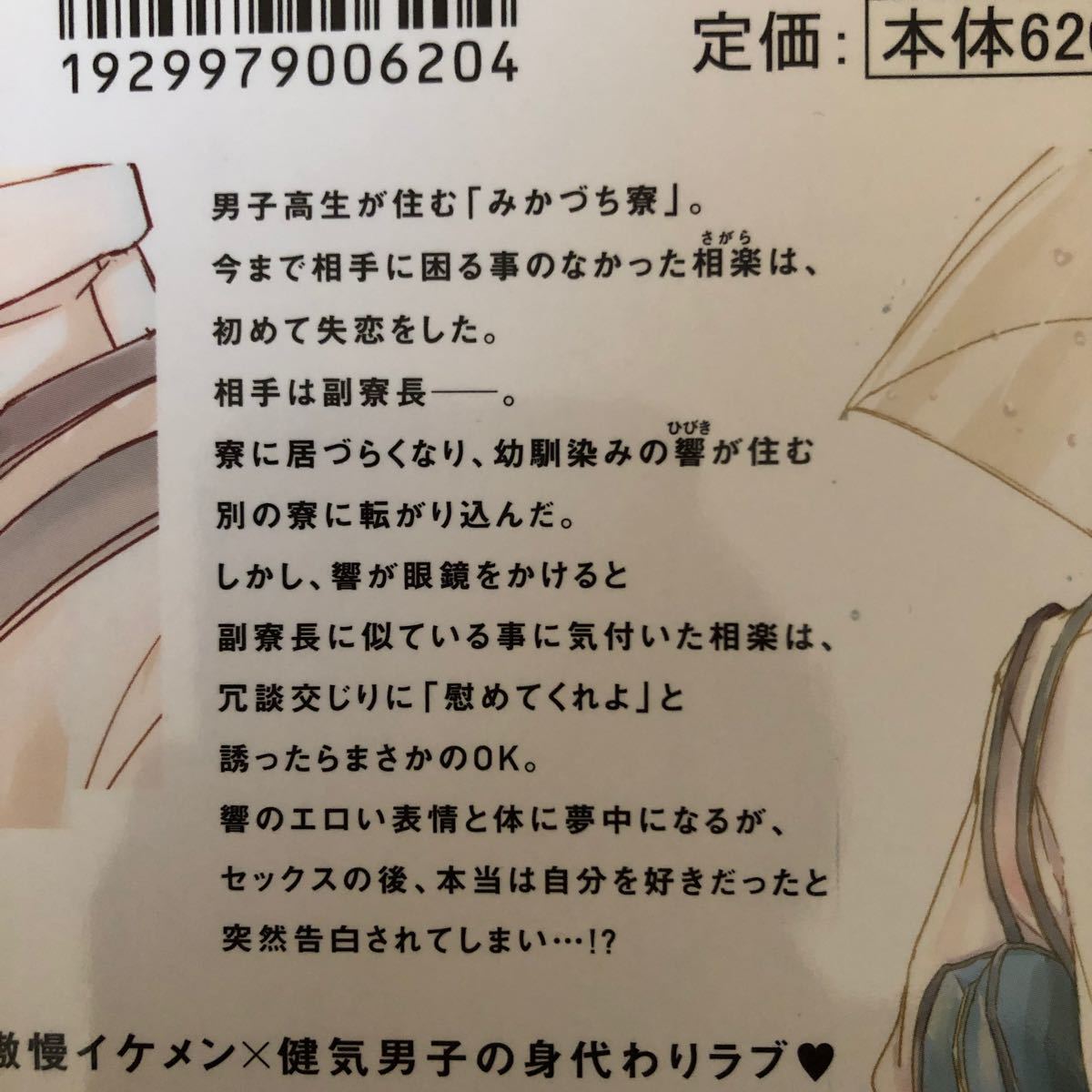 ぴぃ3兄弟さま専用 BL 2冊セット いさか十五郎先生「七匹のひつじ育成