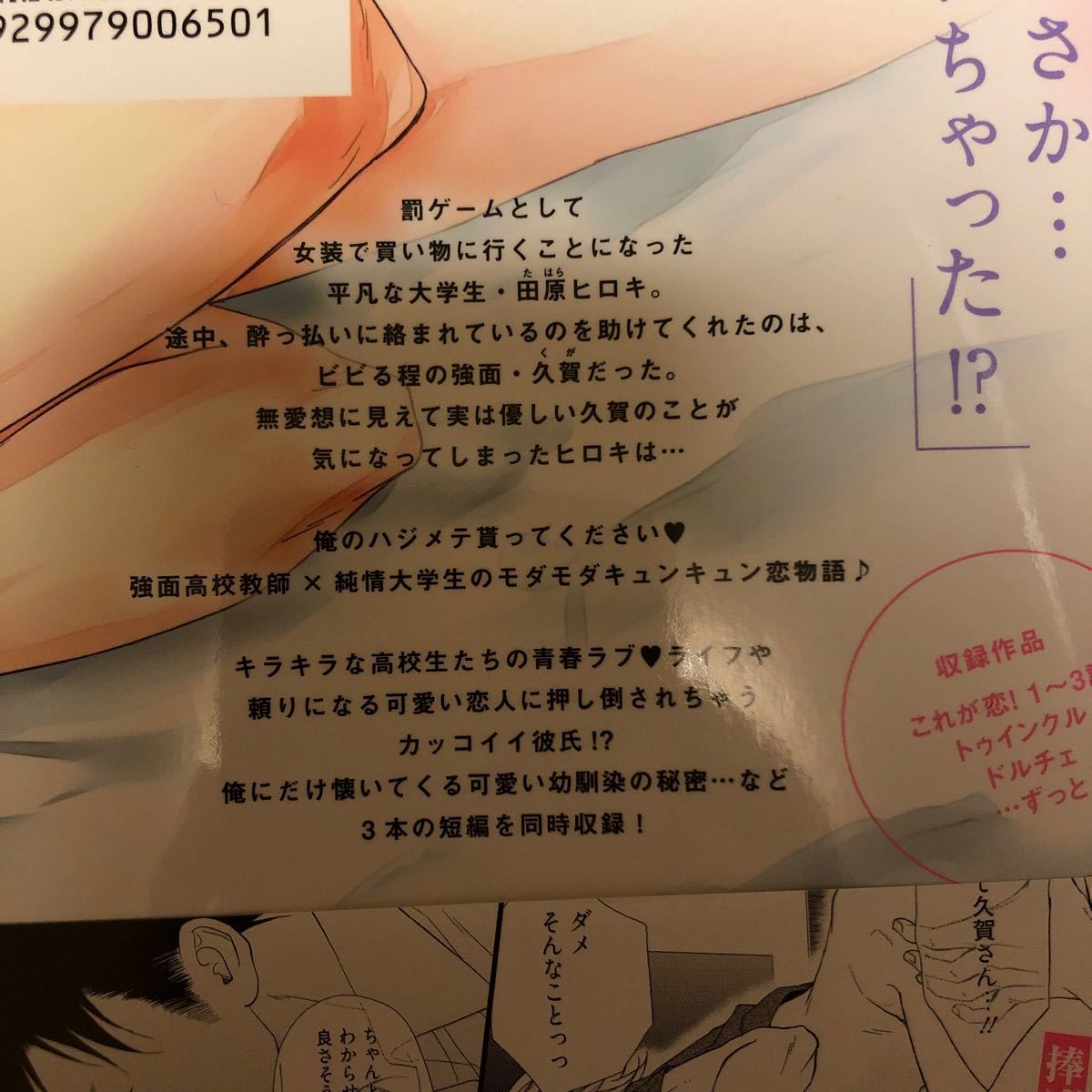 Paypayフリマ Bl2冊セット オオヒラヨウ先生 フレンドシップラバー 神田猫先生 これが恋 Paypayフリマ Bl2冊セット オオヒラヨウ先生 フレンドシップラバー 神田猫先生 これが恋