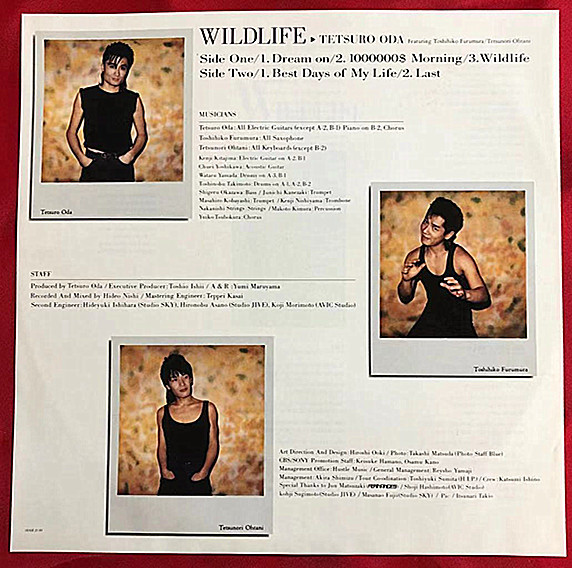 《貴重見本盤》織田哲郎★ワイルドライフ★TETSURO ODA PRESENTS WILDLIFE★ライナー付き★LPレコード★美盤（C2）_画像3