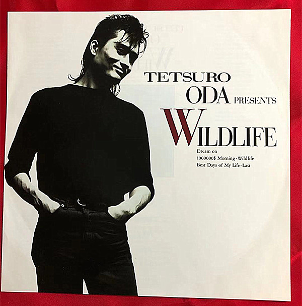 《貴重見本盤》織田哲郎★ワイルドライフ★TETSURO ODA PRESENTS WILDLIFE★ライナー付き★LPレコード★美盤（C2）_画像4