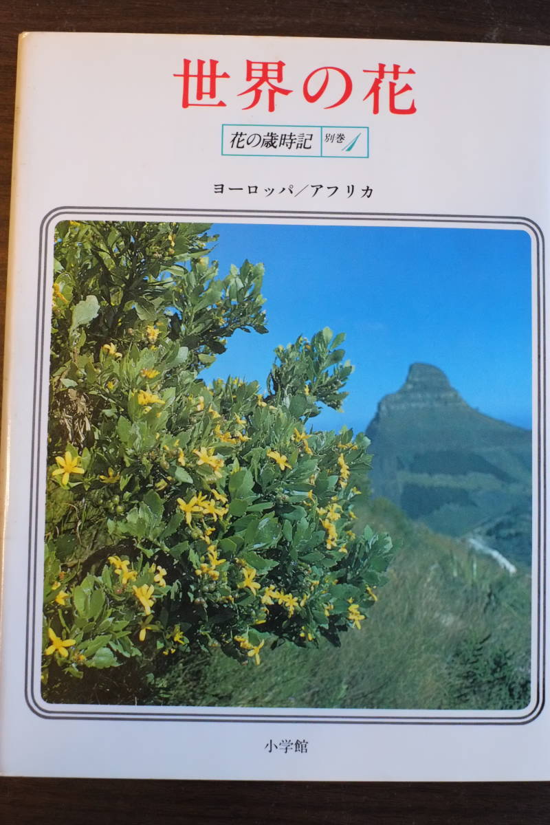 書籍「花の歳時記」全8巻＋別冊２巻　飯田隆太、田中澄江監修_画像9