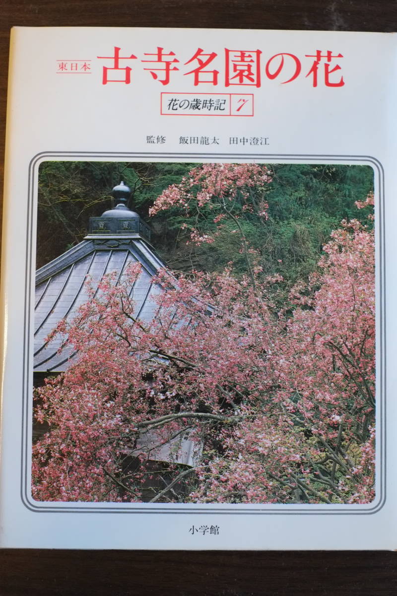 書籍「花の歳時記」全8巻＋別冊２巻　飯田隆太、田中澄江監修_画像7