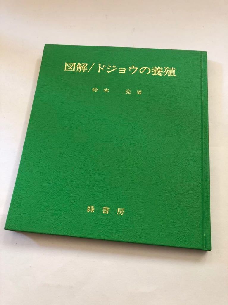 ドジョウ　養殖　図解/ドジョウの養殖 (1982年) 鈴木亮,緑書房