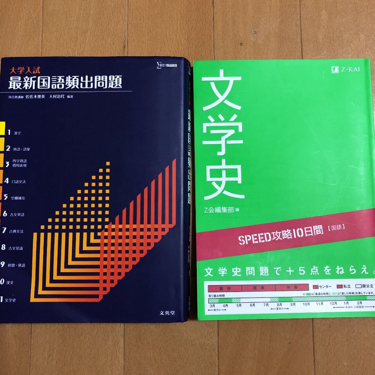 大学受験国語問題集 2冊セット