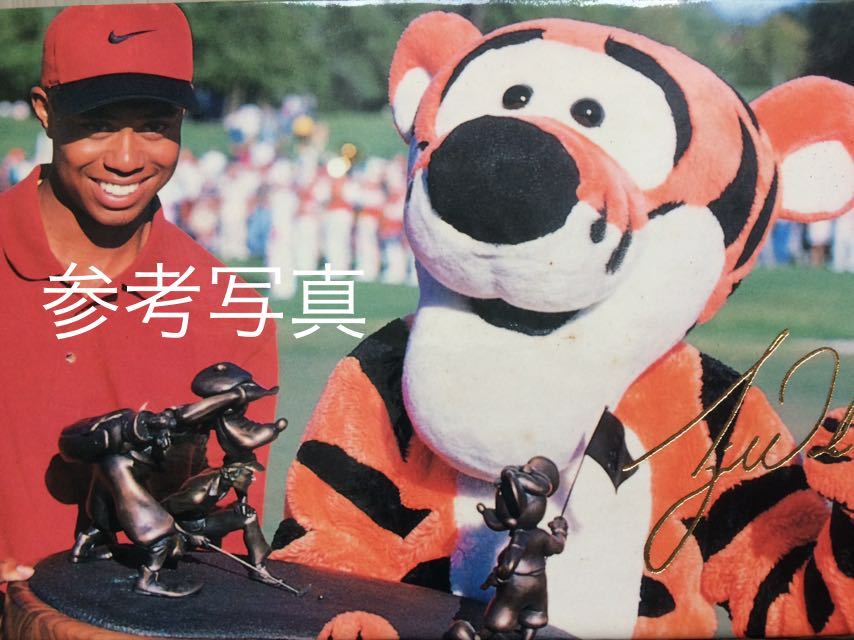 ヤフオク タイガーウッズ 優勝記念ボール タイトリスト ヤフオク タイガーウッズ 優勝記念ボール タイトリスト