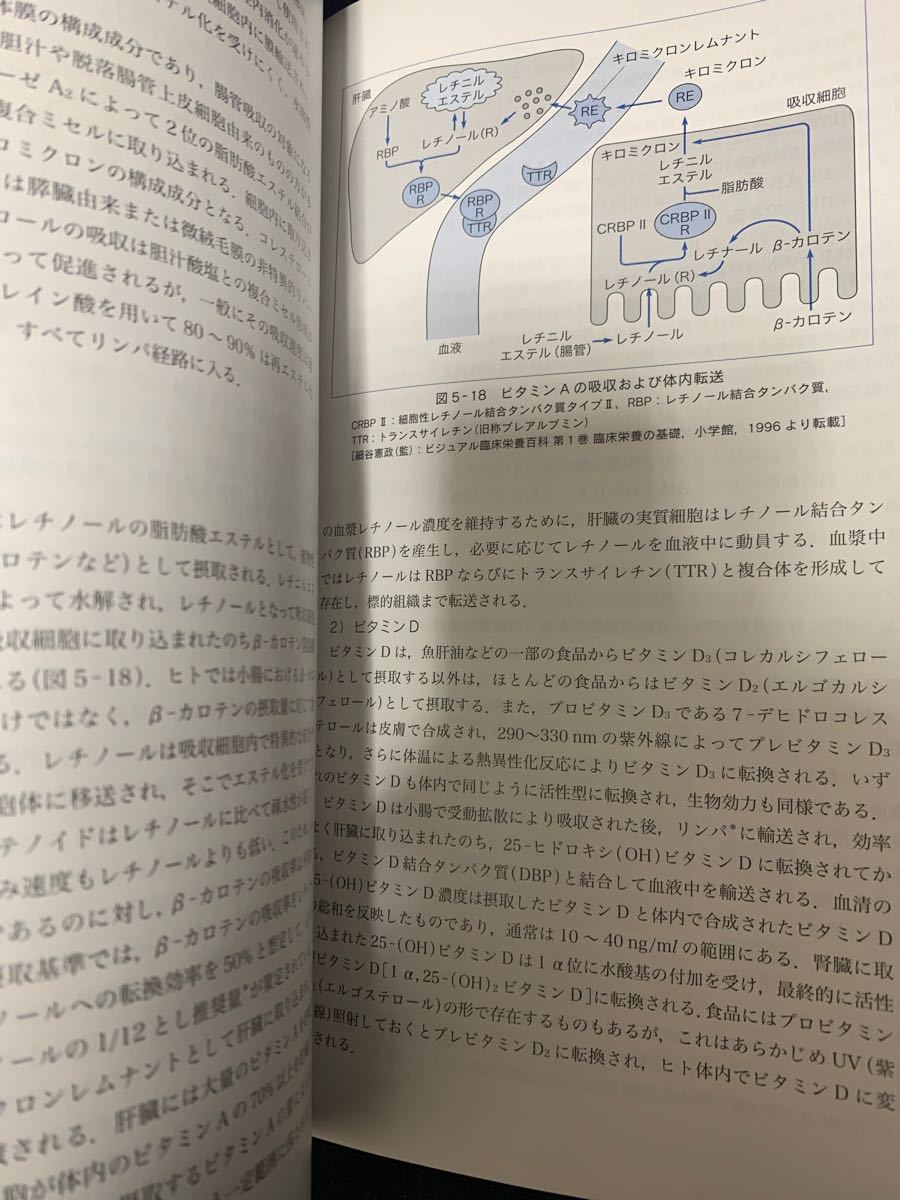 Paypayフリマ 基礎栄養学 改訂第４版 奥恒行 著者 柴田克己 著者