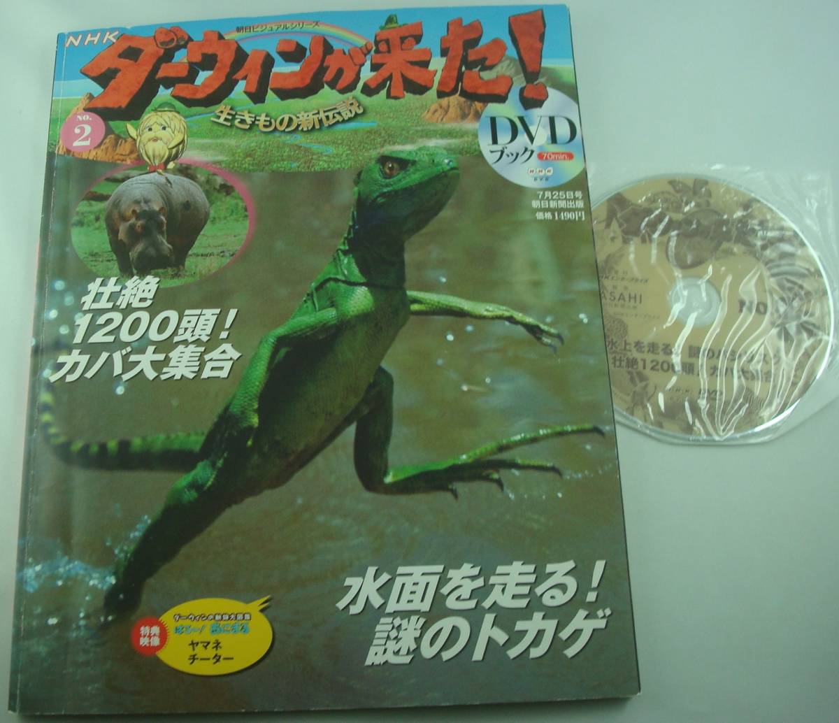 ヤフオク! - DVDブック NHK ダーウィンが来た 生きもの新伝説