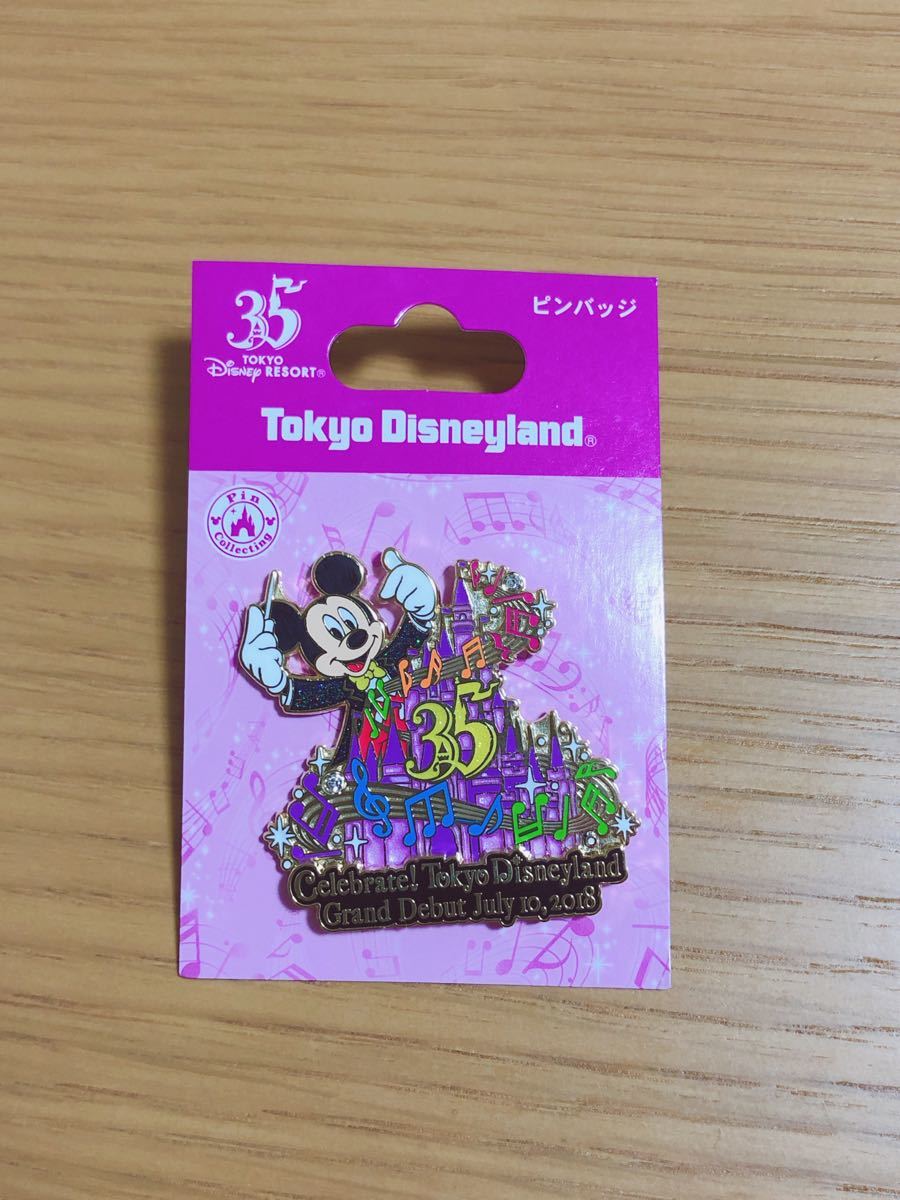 Paypayフリマ ディズニーピン 35周年記念 ミッキー Paypayフリマ ディズニーピン 35周年記念 ミッキー