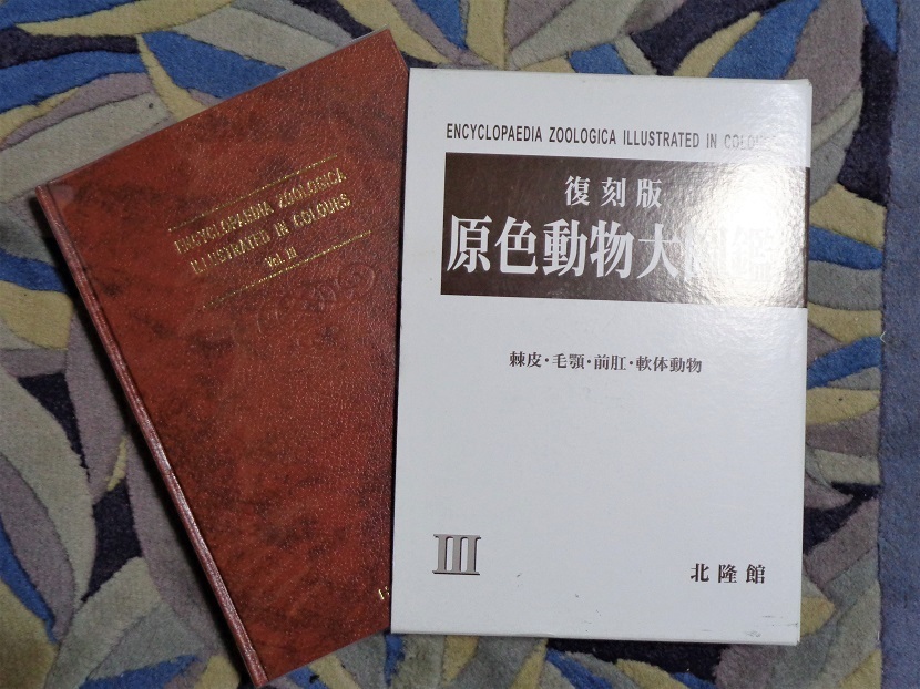 人気満点 図鑑☆復刻版 原色動物大図鑑 棘皮・毛頭・前肛・軟体動物